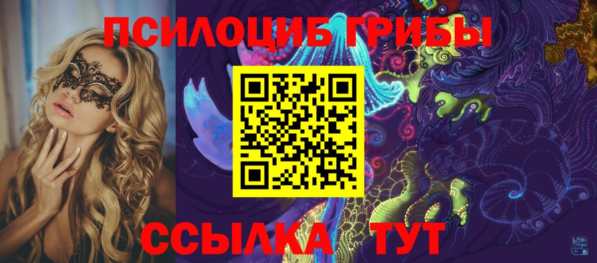 Псилоцибиновые грибы Psilocybe  цена   Соль-Илецк  Галлюциногенные грибы Psilocybe  Вход с VPN 